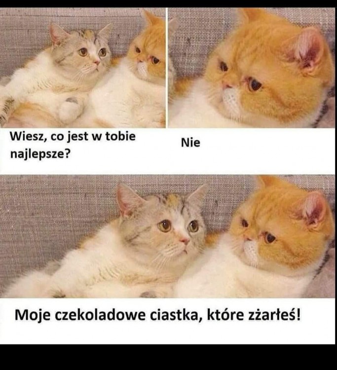 FB_IMG_1612300689372.thumb.jpg.12a274c74e4cc3418efa5b0a98d671d4.jpg