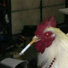 ReCi0