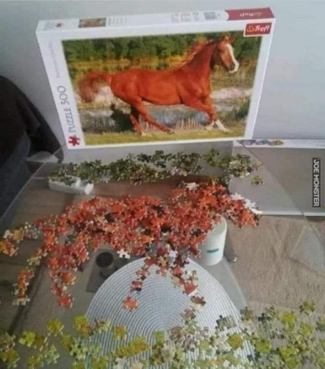 received_3627231210703159.thumb.jpeg.583216ee361080c1c0b24fb7536f3a4a.jpeg
