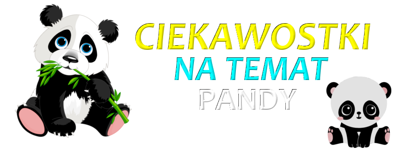 panda.png.263a957981c214b0cec210587a2f70d0.png