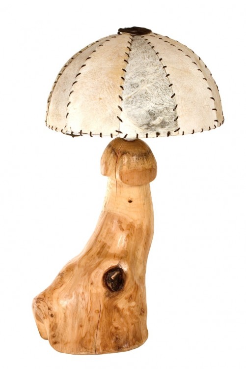 iceland_penis_museum3.thumb.jpg.d3bca30a50db749882bdb1b22f3ba96a.jpg