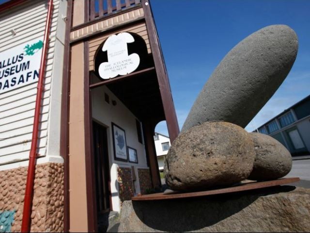 iceland_penis_museum7.jpg.371a3e3dbe36e40e33b22333c21331e5.jpg