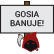 gosia.png