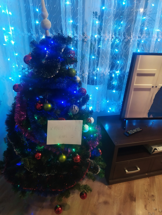 image.thumb.png.2d326bc4142b9756dfa304b869f56f4f.png