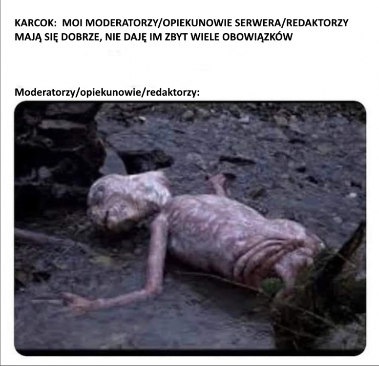 image.thumb.png.4ad9735feacac9d35c5d04aed84d6e3e.png
