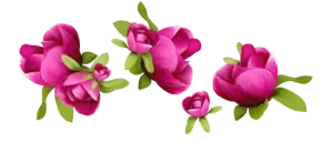 toppng.com-spring-flowers-decoration-569x276.webp.5ba7d208f2e1195260f23efbfc6d14aa.webp