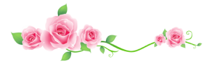 toppng.com-transparent-roses-decoration-600x182.png.6ca62c7fa0b7a815bad88a3d3af053d3.png
