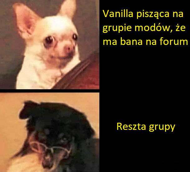 vanillamem.png