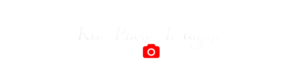 818476508_Daminamiesiecznik(4).png.d71875cee22aa808620086a8bce8061a.png