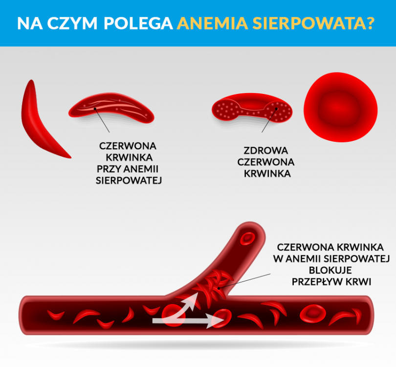 899394931_Beztytuu.thumb.png.921ea877feb1cc3c12332ee08a50a8fc.png