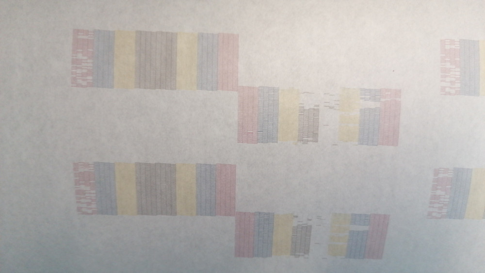 IMG-20220621-WA0006.jpeg