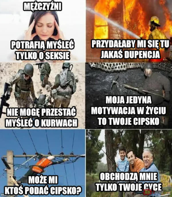 comment_UliamoaK5OArvyPDNcoM3rMZZLtFHImr.jpg.60cddf3a344e33c48f516cc58b01f259.jpg