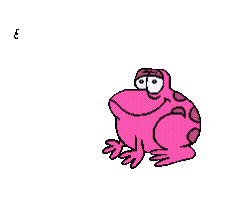FROGX_4785