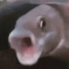 Ziomson