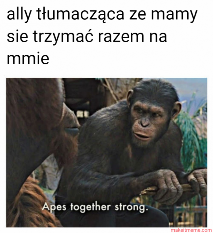 makeitmeme_t5ziM.thumb.png.ec35134daa46188a1733a665933a059a.png