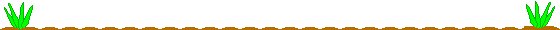 image.gif