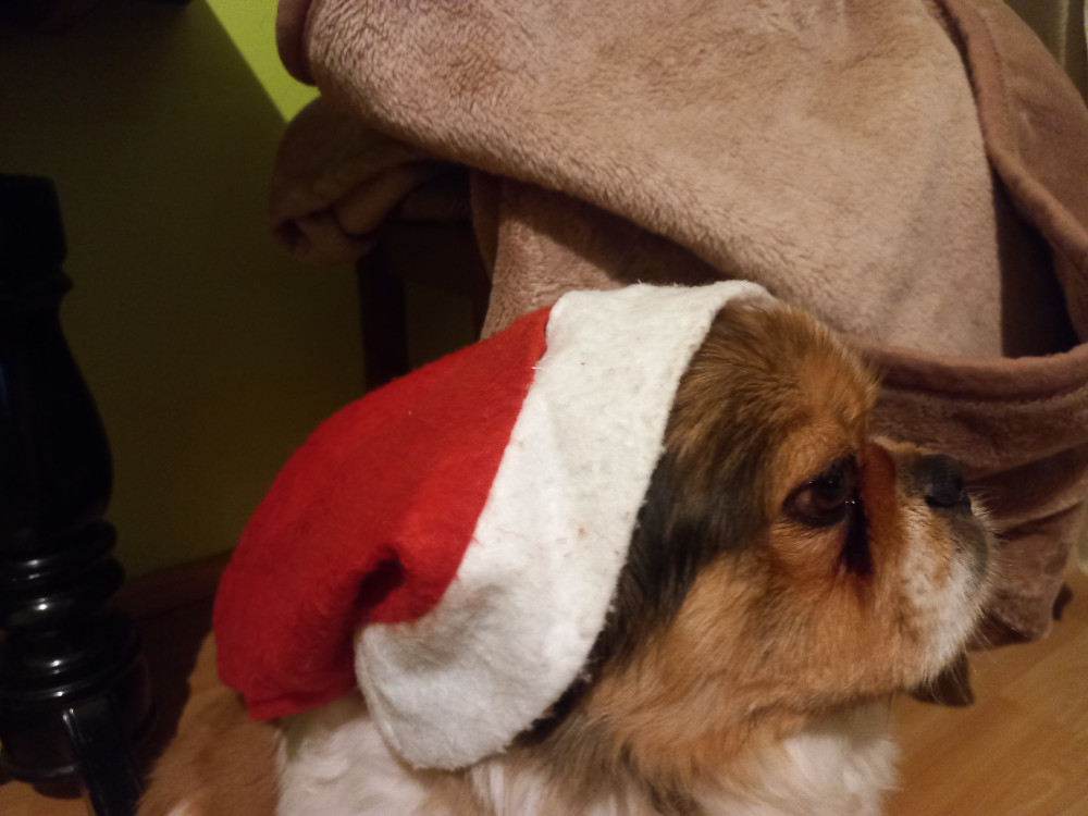 20221219_174036.jpg