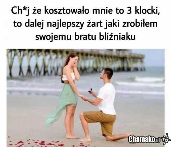 0_1_115181_Warto_bylo_przez_pluszowymis.jpg