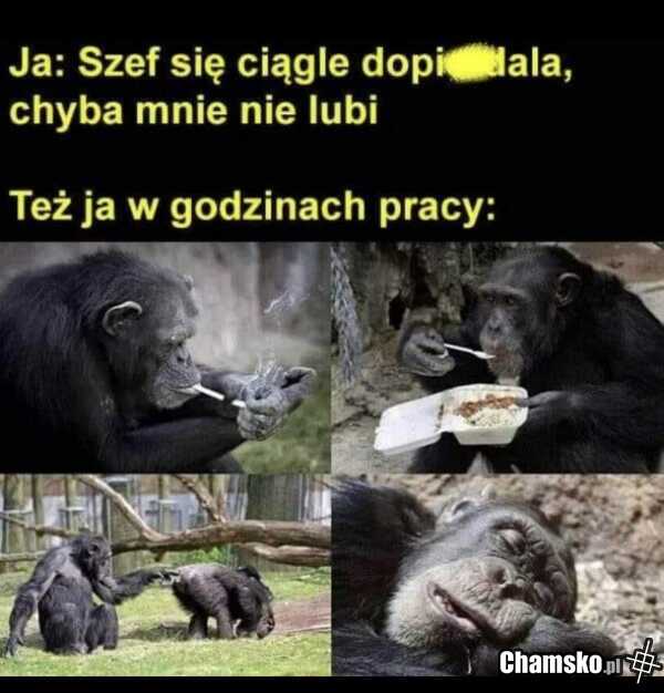 0_1_115208_Witam_przez_wiktorbadyl.jpg
