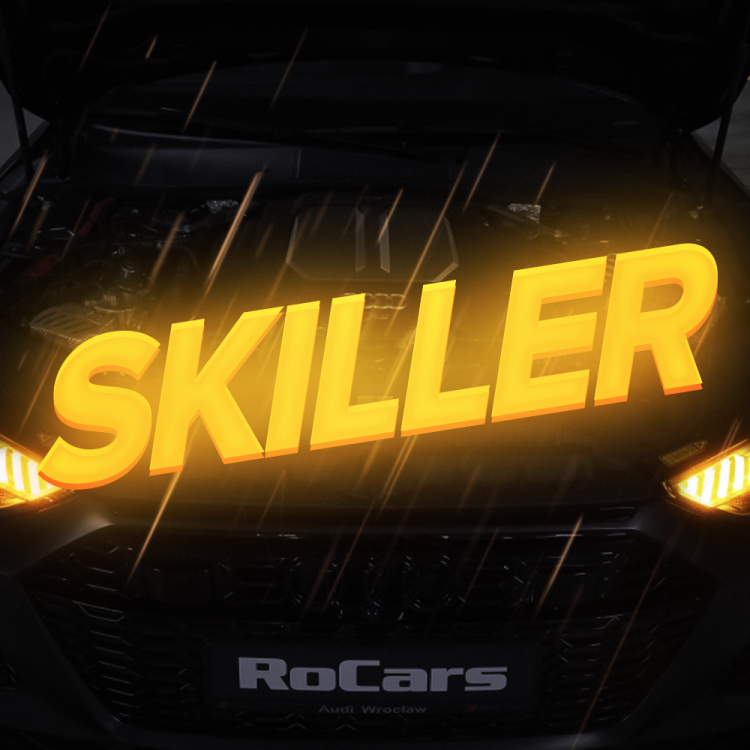 avatar-skiller.thumb.png.1795f91d42692d27c0a62bc62f819bab.png
