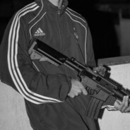 domin999