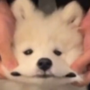 Sen