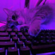 Mitrox