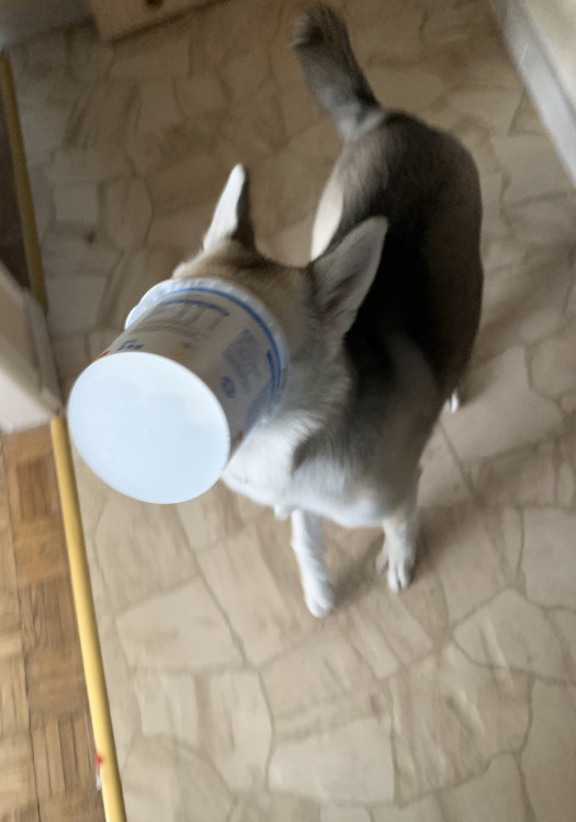 image.thumb.jpeg.a0c03f393038fb0ccf05dcef59ffe531.jpeg
