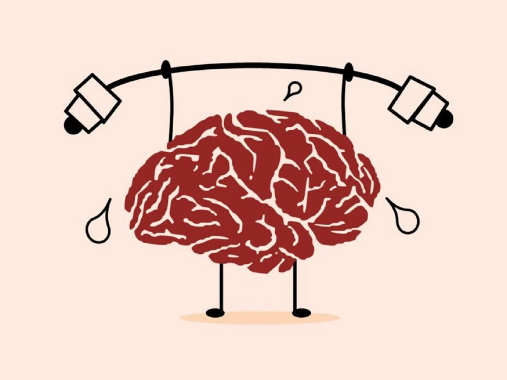 image.thumb.png.010c43b3648d1aa080b5451148a3b649.png