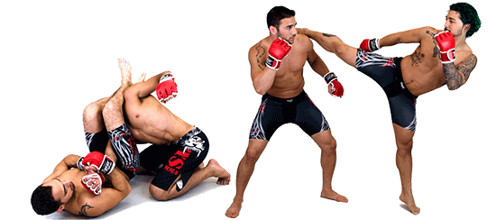 pngimg.com - mma_PNG6.png