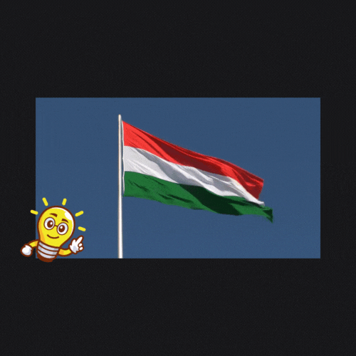 TOP10CIEKAWOSTEK(6).gif.8c79a992a4a3b044f4eef72bdbfba0a5.gif