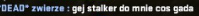 image.png.b91ceb1b5af0be67bf11a70848da3bf8.png