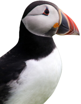 0f71ee5d-17d0-4101-a0db-70c9d447ccdc.png.5ef8a08686aac9940705cc85c50afa2a.png