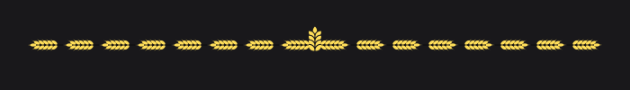 Projekt bez nazwy (2).png