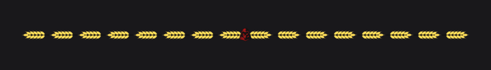 Projekt bez nazwy (3).png