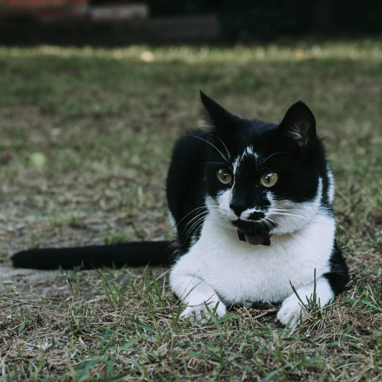 fe2.thumb.jpg.a3d8e6e19f1a725361536b38c63c2463.jpg