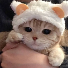 M4D3R0