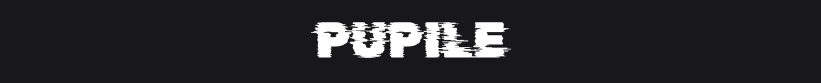 PUPILE.png.d8d89f289dc117d44fceb1e7a428c174.png
