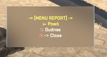 report.png