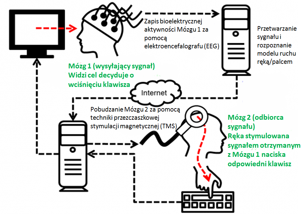 dz05OTkmaD03MTQ_src_18708-8-Przebieg-eksperymentu-komunikacji-pomiedzy-mozgami-ludzkimi-na-uniwersytecie-stanu-Waszyngton.png.57044cfadf0999a04e3adbae5aceb41d.png