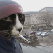 szoko bons
