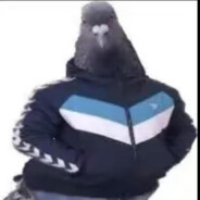 szybka_kasjerka12