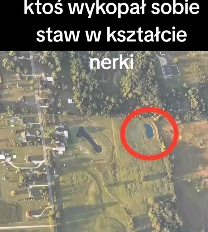 Screenshot_20240831_203358_TikTok.thumb.jpg.cd9dd08684e2215fcb6ce9b680477bfe.jpg
