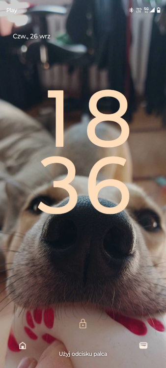 Screenshot_20240926-183619.thumb.png.41af6d3a4fbc27cb49b386d6d4ebcd74.png