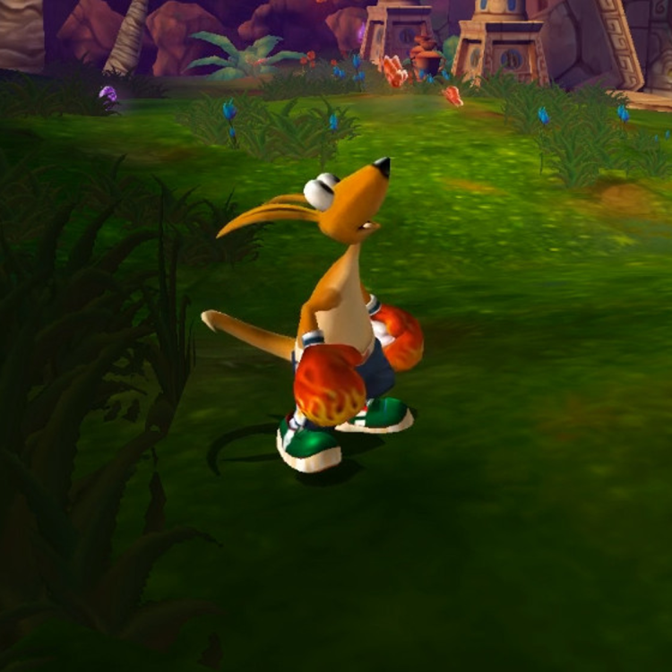 kangurek_kao_2_darmo.png