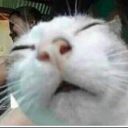 pogcatgamerrr