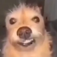Jondiss