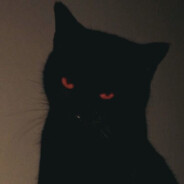 niko___1