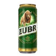 Arcyministrant żubr