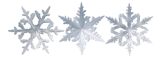 r.webp.ae4a1e79364a2dbb67f97e9dcb829d13.webp